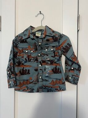Cabela's Desert Scene Button-Down Shirt in Teal and Rust